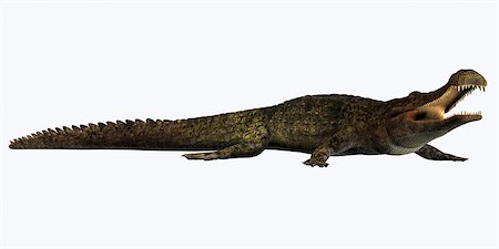 simsearch:400-08694325,k - Sarcosuchus is an extinct genus of carnivorous crocodile that lived in the Cretaceous Period of Africa. Foto de stock - Super Valor sin royalties y Suscripción, Código: 400-07989255