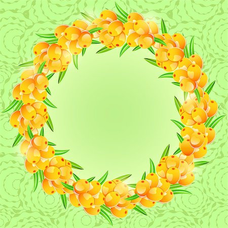 Card with Round Frame from Orange Sea-buckthorn Berries on Green Background. Vector Illustration Stock Photo - Budget Royalty-Free & Subscription, Code: 400-07980165