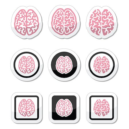 emisfero - Vector icons set of brain isolated on white Fotografie stock - Microstock e Abbonamento, Codice: 400-07980546