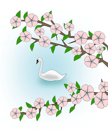 simsearch:400-07975760,k - Flowering branches and a swan swimming in a lake. Fotografie stock - Microstock e Abbonamento, Codice: 400-07980628