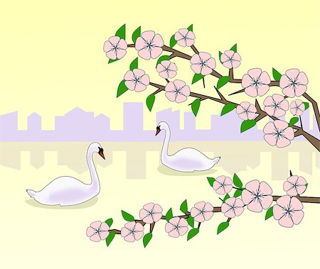 simsearch:400-07975760,k - Flowering branches against a background of sunset and the silhouette of a city and two swans swimming in a lake. Fotografie stock - Microstock e Abbonamento, Codice: 400-07980632