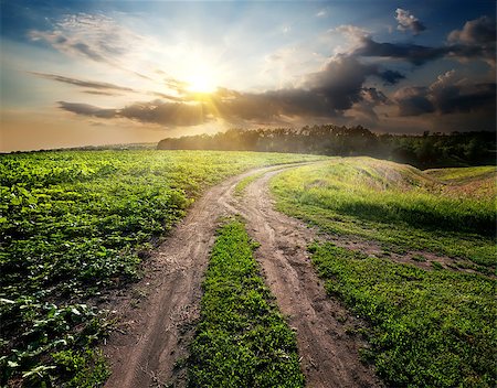 simsearch:400-06892091,k - Country road to the forest on a hill Photographie de stock - Aubaine LD & Abonnement, Code: 400-07981491