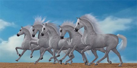 simsearch:400-06205526,k - A herd of beautiful white Arabian horses in a wild desert environment. Foto de stock - Super Valor sin royalties y Suscripción, Código: 400-07981814
