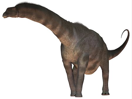 simsearch:400-07039388,k - Argentinosaurus was a titanosaur sauropod dinosaur from the Cretaceous epoch of Argentina. Stockbilder - Microstock & Abonnement, Bildnummer: 400-07981815