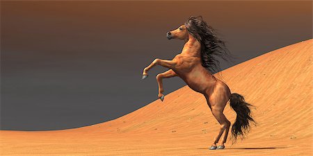 simsearch:400-04651783,k - A wild Arabian mare rears up in a desert environment full of red sand dunes. Stock Photo - Budget Royalty-Free & Subscription, Code: 400-07981829