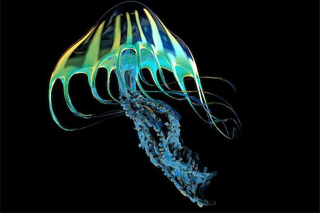 simsearch:400-08097613,k - The Jellyfish is a predator of the seas and captures its fish prey with poisonous stinging tentacles. Stock Photo - Budget Royalty-Free & Subscription, Code: 400-07981837