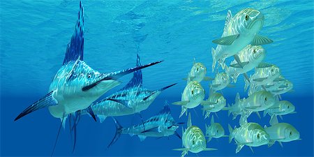 simsearch:400-05683187,k - A school of ocean Ayu fish try to escape from three carnivorous Blue Marlin fish. Foto de stock - Royalty-Free Super Valor e Assinatura, Número: 400-07981832