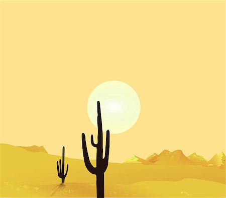 desert sunset landscape cactus - Desert Landscape Stock Photo - Budget Royalty-Free & Subscription, Code: 400-07983077
