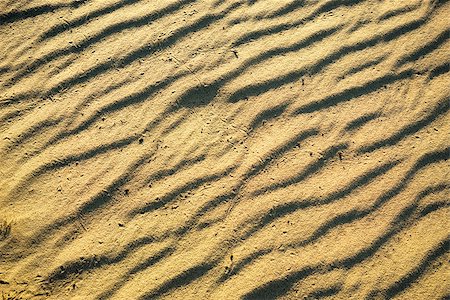 simsearch:400-05272116,k - Natural background of a yellow sand with waves Foto de stock - Royalty-Free Super Valor e Assinatura, Número: 400-07983698