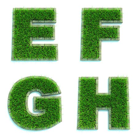 simsearch:400-08793224,k - Letters E, F, G, H - Alphabet Set of Green Grass Lawn on White Background in 3d. Photographie de stock - Aubaine LD & Abonnement, Code: 400-07995046