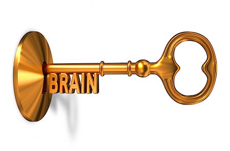 simsearch:400-07472751,k - Brain - Golden Key is Inserted into the Keyhole Isolated on White Background Stock Photo - Budget Royalty-Free & Subscription, Code: 400-07996659