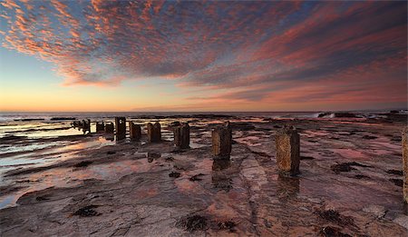 The pinky hues in the clouds at sunrise and their cast and reflections on the textured rockshelf at Coledale Fotografie stock - Microstock e Abbonamento, Codice: 400-07997335