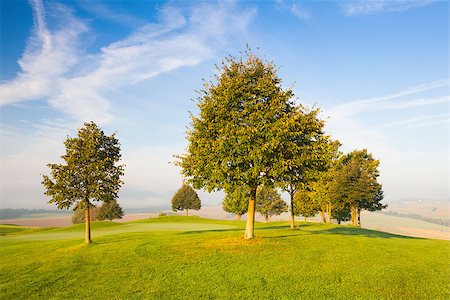 Misty morning on a empty golf course Stock Photo - Budget Royalty-Free & Subscription, Code: 400-07993038