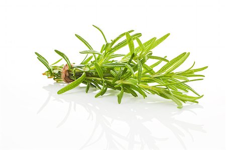 simsearch:400-05381074,k - Rosemary bunch bound with brown twine isolated on white background. Culinary aromatic herbs. Stock Photo - Budget Royalty-Free & Subscription, Code: 400-07993488