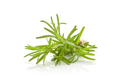 simsearch:400-05381074,k - Rosemary bunch bound with brown twine isolated on white background. Culinary aromatic herbs. Stock Photo - Budget Royalty-Free & Subscription, Code: 400-07993490