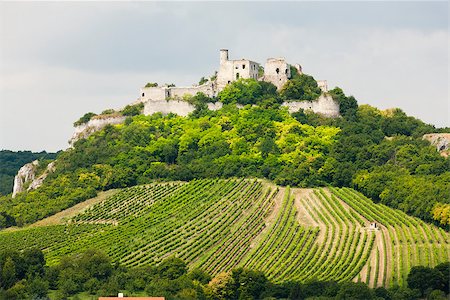 simsearch:400-07300370,k - ruins of Falkenstein Castle with vineyard, Lower Austria, Austria Foto de stock - Super Valor sin royalties y Suscripción, Código: 400-07993639