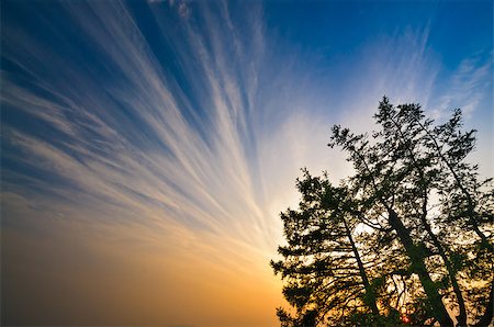 Impressive red sunset and blue sky with tree branches at Baikal Lake Siberia Photographie de stock - Aubaine LD & Abonnement, Code: 400-07993955