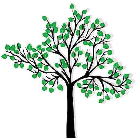 simsearch:400-04725012,k - Green tree isolated over white background Stock Photo - Budget Royalty-Free & Subscription, Code: 400-08014143