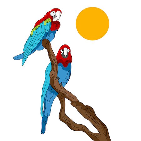 simsearch:400-08014032,k - An image of two parrots sitting on a tree branch. Foto de stock - Super Valor sin royalties y Suscripción, Código: 400-08014566