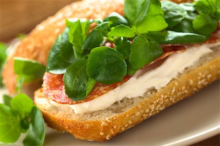 simsearch:400-08014878,k - Fresh salami, cream cheese and watercress sandwich served on plate (Selective Focus, Focus on the left front edge of the sandwich) Foto de stock - Royalty-Free Super Valor e Assinatura, Número: 400-08014894