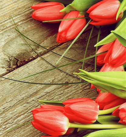 simsearch:400-08011307,k - Arrangement of Beautiful Spring Red Tulips with Green Grass on Rustic Wooden background. Retro Styled Stock Photo - Budget Royalty-Free & Subscription, Code: 400-08014943