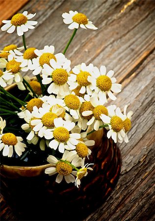 simsearch:400-08011304,k - Bunch of Garden Small Camomiles in Brown Bowl closeup on Rustic Wooden background Stock Photo - Budget Royalty-Free & Subscription, Code: 400-08015214