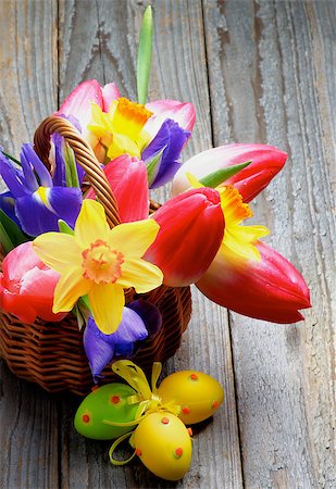 simsearch:400-07406705,k - Bunch of Yellow Daffodils, Magenta Tulips, Purple Irises in Wicker Basket with Colored Easter Eggs closeup on Rustic Wooden background Foto de stock - Super Valor sin royalties y Suscripción, Código: 400-08015218