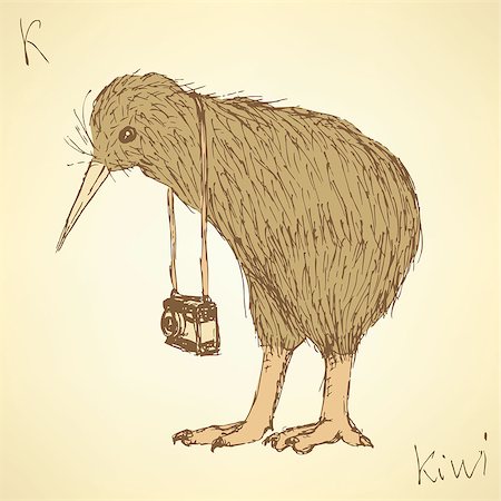 simsearch:6119-07735107,k - Sketch fancy kiwi bird in vintage style, vector Stock Photo - Budget Royalty-Free & Subscription, Code: 400-08015256