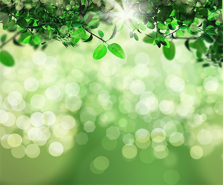 3D render of sunlight shining through leaves on a bokeh light background Stock Photo - Budget Royalty-Free & Subscription, Code: 400-08015838