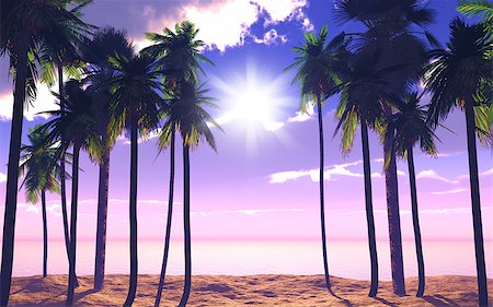 simsearch:400-08286301,k - 3D render of palm trees against a purple sunny sky Stock Photo - Budget Royalty-Free & Subscription, Code: 400-08015839