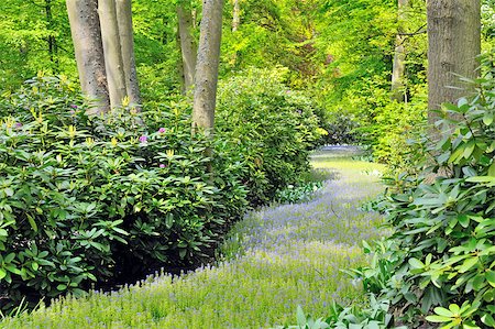 simsearch:400-08348471,k - flowers path and green forest in  spring time Stockbilder - Microstock & Abonnement, Bildnummer: 400-08015848
