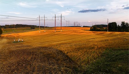 simsearch:400-07293838,k - Field after harvest. Rural landscape at sunset. Panoramic shot. Photographie de stock - Aubaine LD & Abonnement, Code: 400-08016007