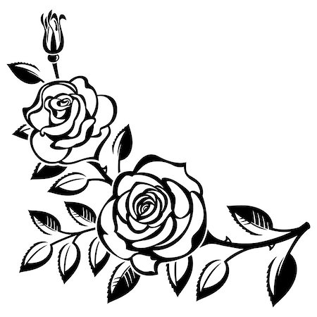 silhouette black and white - Branch of roses on a white background Stock Photo - Budget Royalty-Free & Subscription, Code: 400-08016649