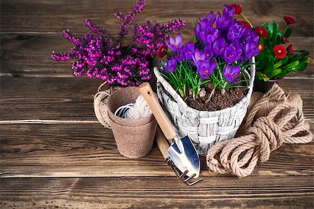 simsearch:689-03124006,k - Spring flowers in wicker basket with garden tools Photographie de stock - Aubaine LD & Abonnement, Code: 400-08017012