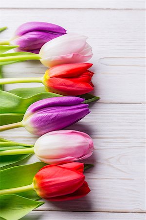 simsearch:400-08020454,k - Close up of tulips on wooden table Foto de stock - Super Valor sin royalties y Suscripción, Código: 400-08017454