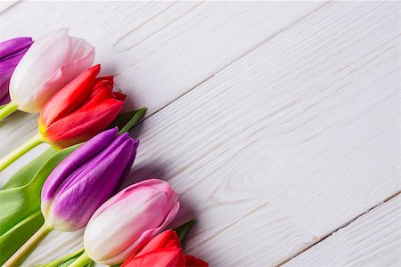 simsearch:400-08017469,k - Close up of tulips on wooden table Foto de stock - Super Valor sin royalties y Suscripción, Código: 400-08017455