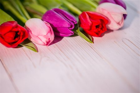 simsearch:400-08017513,k - Close up of tulips on wooden table Foto de stock - Super Valor sin royalties y Suscripción, Código: 400-08017456