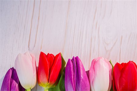 simsearch:400-08020454,k - Close up of tulips on wooden table Foto de stock - Super Valor sin royalties y Suscripción, Código: 400-08017457