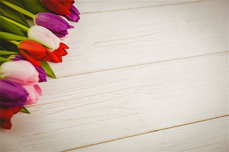 simsearch:400-08017469,k - Overhead of colorful tulips on wooden table Foto de stock - Super Valor sin royalties y Suscripción, Código: 400-08017464