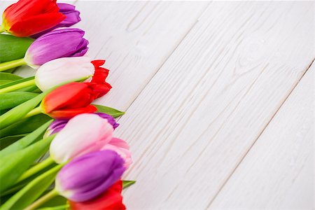 simsearch:400-08017474,k - Overhead of colorful tulips on wooden table Foto de stock - Super Valor sin royalties y Suscripción, Código: 400-08017463