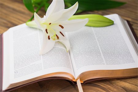 simsearch:400-08017488,k - Lily flower resting on open bible on wooden table Stock Photo - Budget Royalty-Free & Subscription, Code: 400-08017477
