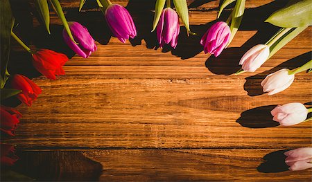 simsearch:400-08020454,k - Tulips forming frame on wooden table Foto de stock - Super Valor sin royalties y Suscripción, Código: 400-08017470
