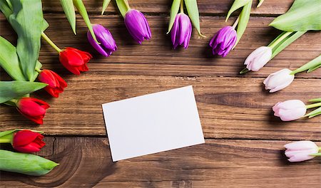 simsearch:400-06877837,k - Tulips forming frame around white card on wooden table Stock Photo - Budget Royalty-Free & Subscription, Code: 400-08017472