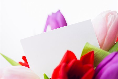 simsearch:400-06877861,k - Bunch of tulips and white card on black background Foto de stock - Super Valor sin royalties y Suscripción, Código: 400-08017518