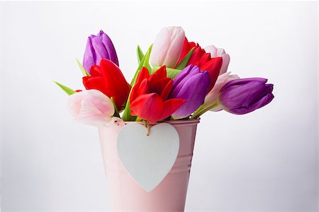 simsearch:400-08017474,k - Bunch of tulips and heart card on white background Foto de stock - Super Valor sin royalties y Suscripción, Código: 400-08017510