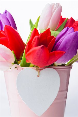 simsearch:400-08020454,k - Bunch of tulips and heart card on white background Foto de stock - Super Valor sin royalties y Suscripción, Código: 400-08017511