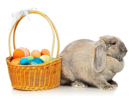 simsearch:400-06797181,k - gray lop-earred rabbit and Easter basket, isolated on white Stock Photo - Budget Royalty-Free & Subscription, Code: 400-08011199