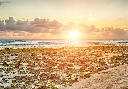 fyletto (artist) - Beautiful sunset over the sea with a view at stony shore on the white beach on a Caribbean island of Barbados Stock Photo - Budget Royalty-Free & Subscription, Code: 400-08011193