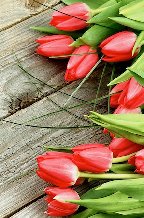 simsearch:400-08011307,k - Arrangement of Beautiful Spring Red Tulips with Green Grass isolated on Rustic Wooden background Stock Photo - Budget Royalty-Free & Subscription, Code: 400-08011305