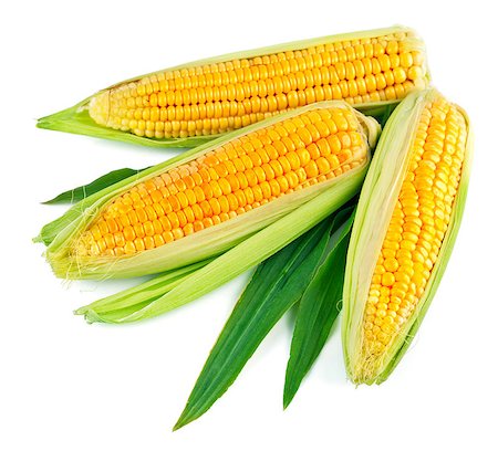 simsearch:400-07667021,k - Fresh corn with green leaf. Isolated on white background Stock Photo - Budget Royalty-Free & Subscription, Code: 400-08011313